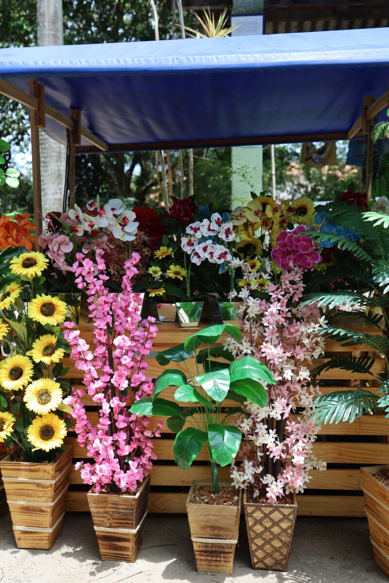 Feira Quilombola de Cabo Frio contabiliza grande público na edição especial pelo Mês da Consciência Negra (10)