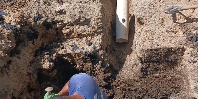 0f0ba20d-1bd8-4b21-a2c0-e9bd704566c0