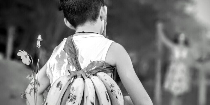 1_-_Lorrane-Rodrigues-Vasconcelos-1o-ano