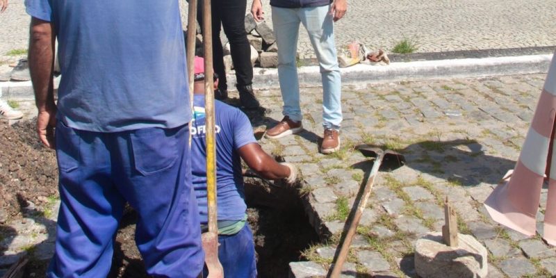 20aa6149-67e7-45c5-a13d-3087b2fb82d9