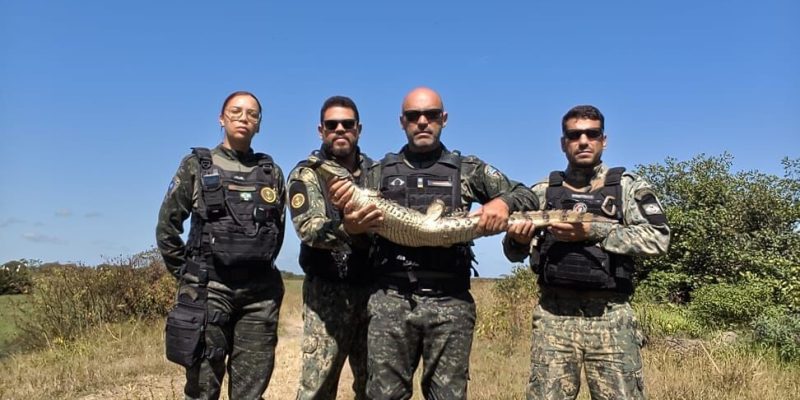 2b9bd1f9-1170-4981-9422-1020290d31bd