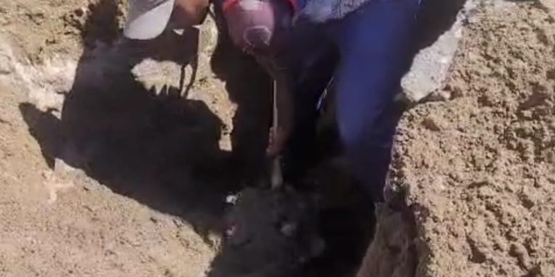 2d0f168a-f5ad-4812-884b-16bf4595d27b