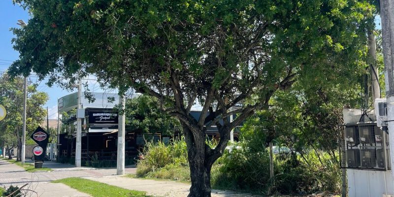 39a33f13-bdb2-4c04-9da9-59fa1dc31afb