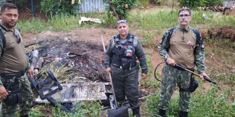 3eba2d4b-a29d-4ed4-8732-2b27caa60b36