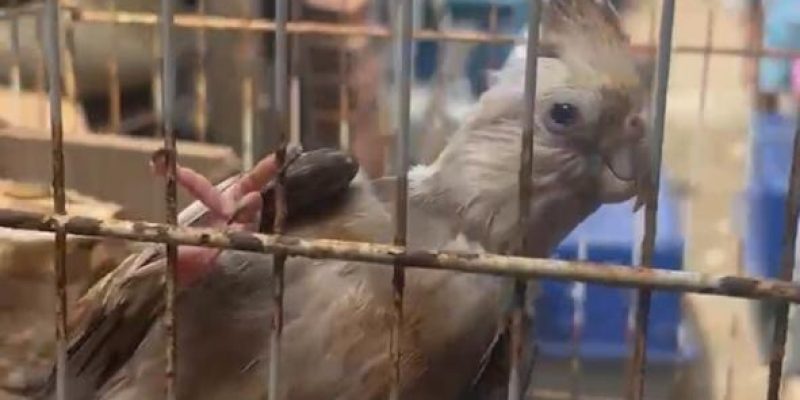 4a497df3-4aba-409b-8480-625fbb492c6e