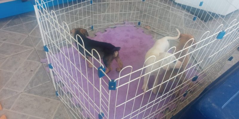 6c002067-4134-4e94-b6d8-feff8fe769bd