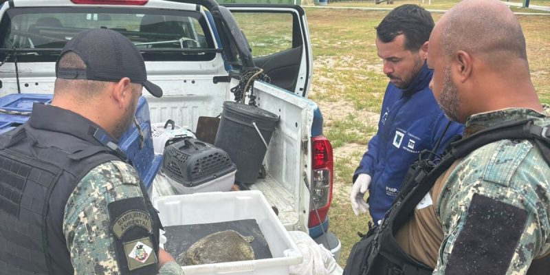 73a355f8-f3c1-438e-a326-e869878d7f31