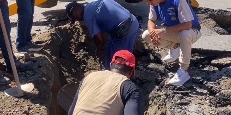 8655e3cf-0418-49b0-9e9a-2d69b1b9ff8b