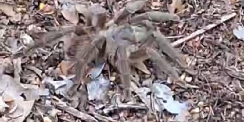 88c9c299-c85c-429d-be79-a0b85a24e0cc