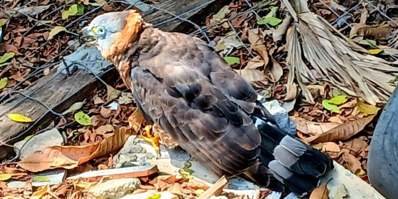 8ca00d3c-0587-4575-a957-fa2d20f51d6c