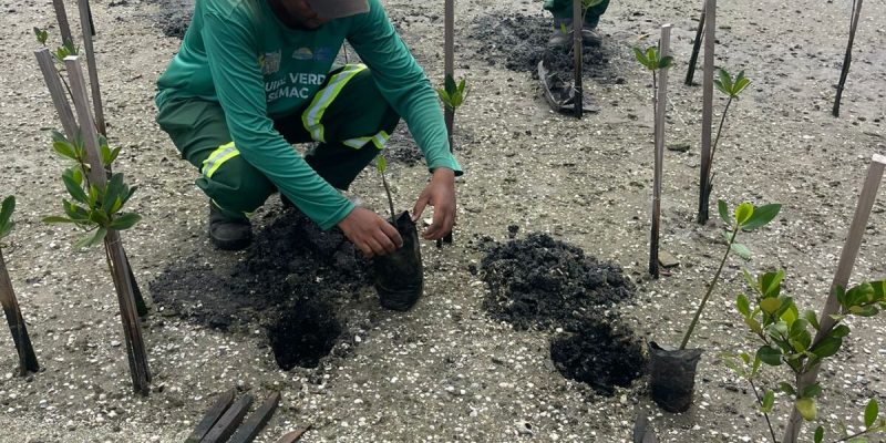 8e72883c-9748-403d-ac27-0da5043d9325