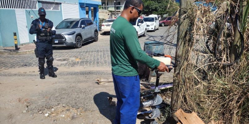 Ação preservação Equipe Verde (2)