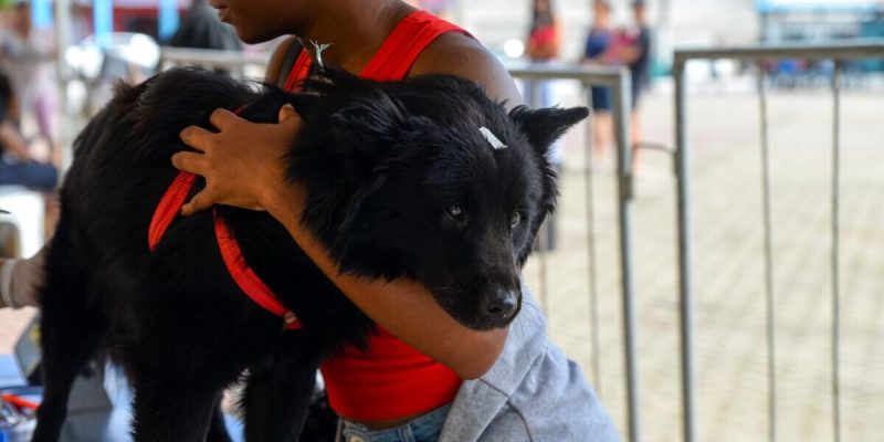 Castramóvel retorna a Cabo Frio na próxima segunda-feira (31) para nova etapa de atendimentos