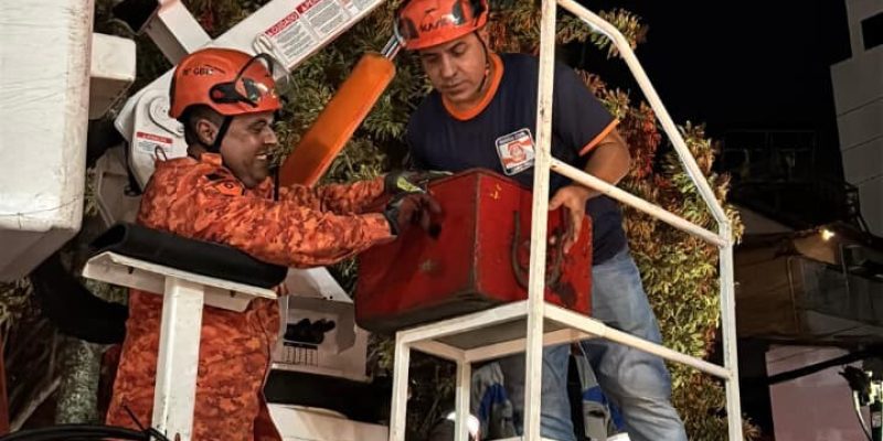 Defesa Civil aciona força-tarefa para resgatar gato preso em árvore no centro de Cabo Frio (6)