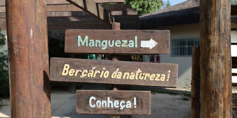 Dormitorio das garças (194)