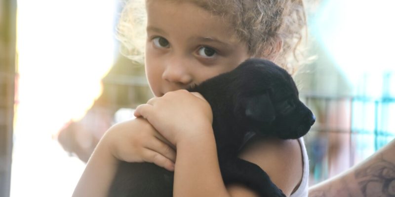 Evento acontecerá na Rua do Itajuru incentivando a adoção responsável de cães e gatos do Canil Municipal (2)