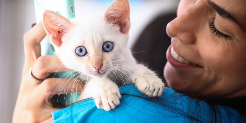 FEIRA DE ADOÇÃO DE ANIMAIS 15 FEVEIRO (44)