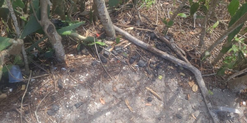 FISCALIZAÇÃO AMBIENTAL (1)