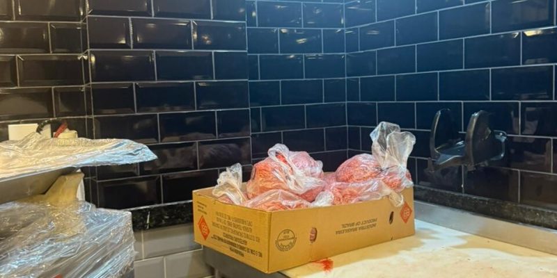 FISCALIZACAO SANITARIA 2