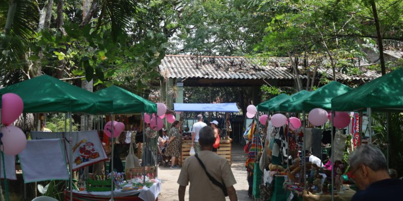 Feira Quilombola celebra Outubro Rosa com arte, música e protagonismo feminino no Horto Municipal (2)