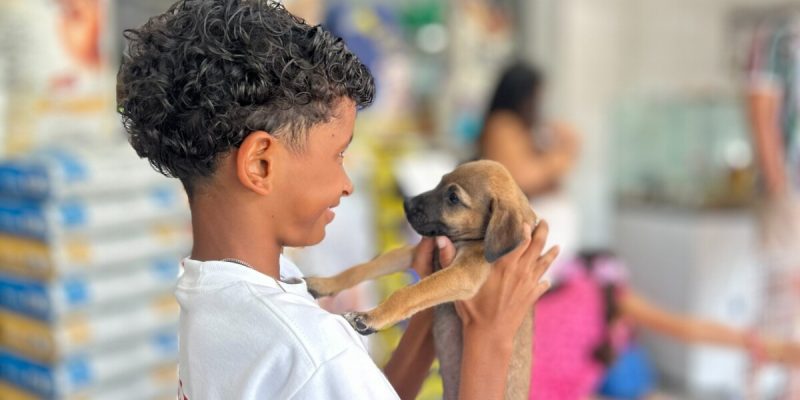 Feira de Adoção (1)