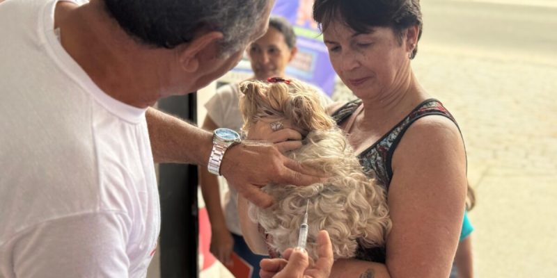 Feira de Adoção com vacinação antirrábica em Cabo Frio (10)