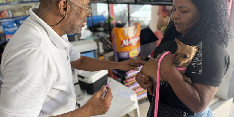 Feira de Adoção oferece vacinação antirrábica gratuita em Cabo Frio neste sábado (28)