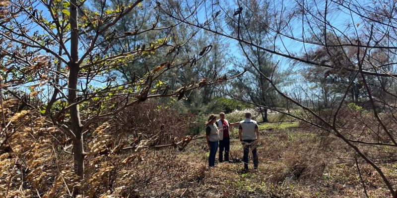 Fiscalização Ambiental reforça monitoramento em Montes Brancos após denúncias de invasão4