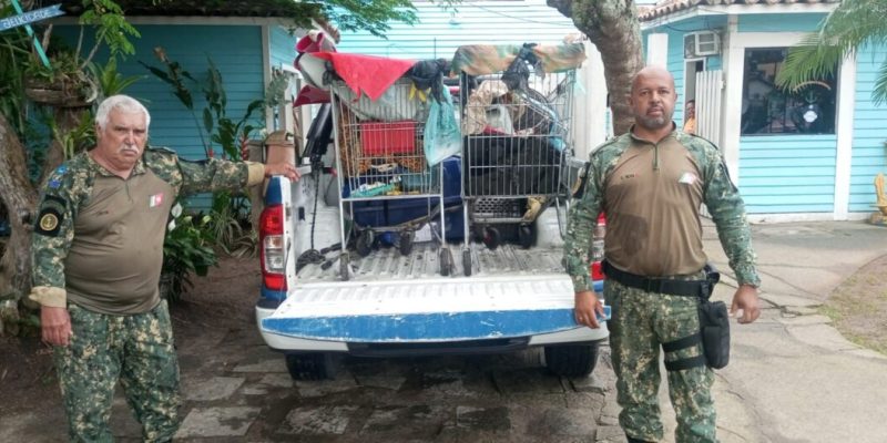 Guarda Civil Municipal de Cabo Frio desmonta acampamento irregular nas Palmeiras (2)