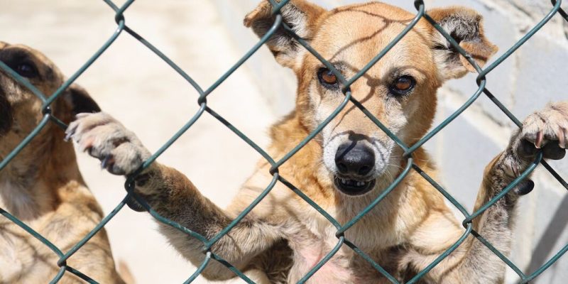 IMG-20260128-WA0217(1)