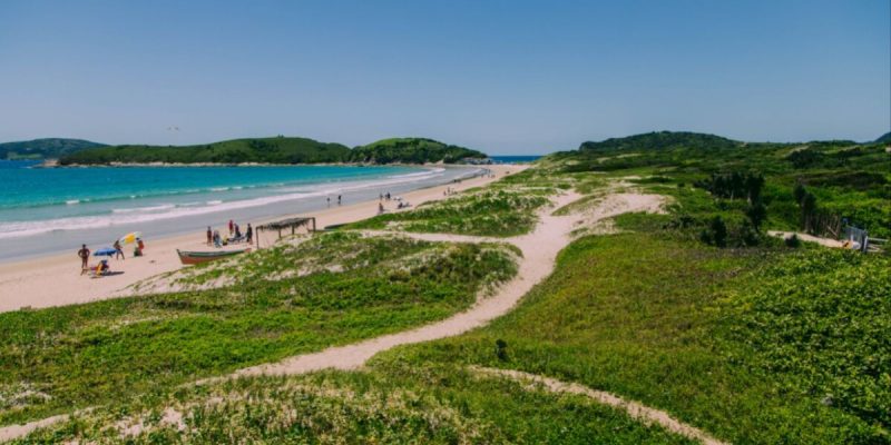 IMG_20250526_171723_042