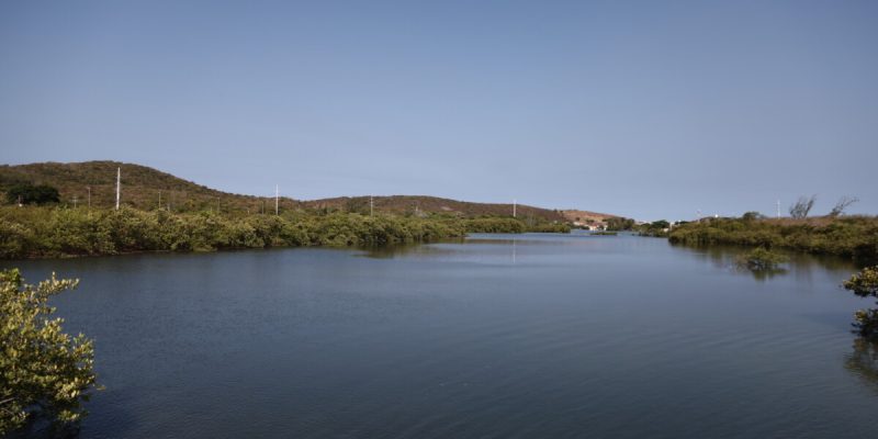 IMG_20250528_081153_887