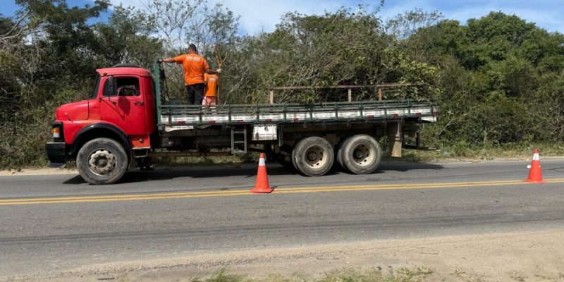 Mutirão de serviços intensifica limpeza e manutenção ) (2)