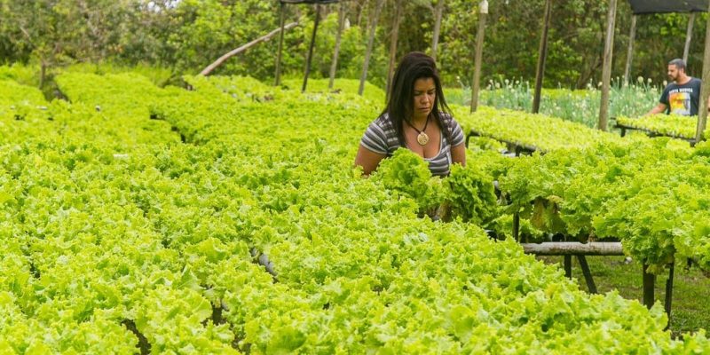 Prefeitura de Cabo Frio reforça fiscalização para proteger áreas verdes no bairro Novo Portinho95