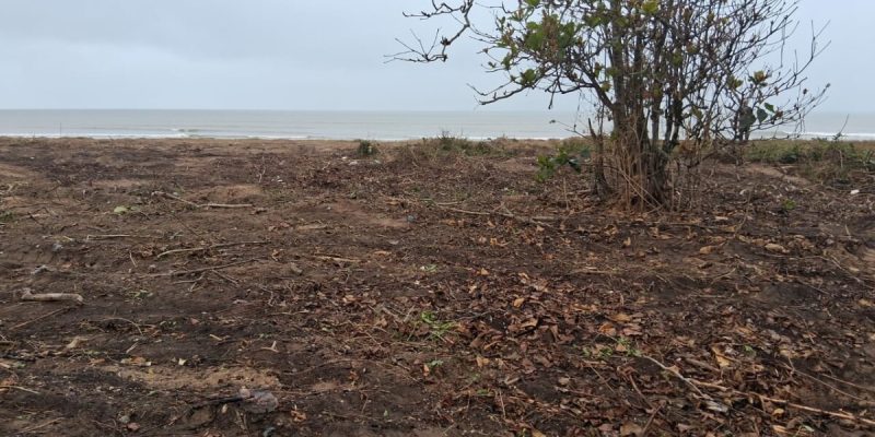 Prefeitura de Cabo Frio reforça monitoramento em área desmatada na Rua do Suspiro1