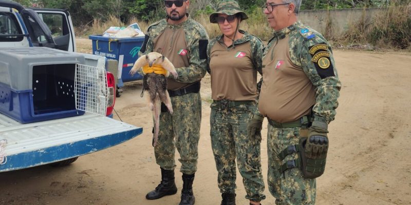 RESGATE ANIMAIS at 09.17.07 (4)