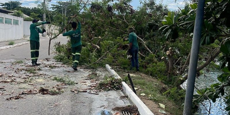 RETIRADA ESPÉCIES EXÓTICAS (1)