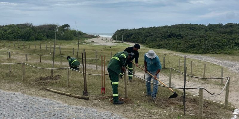 Secretaria de Meio Ambiente instala novo canteiro verde na Praia do Forte