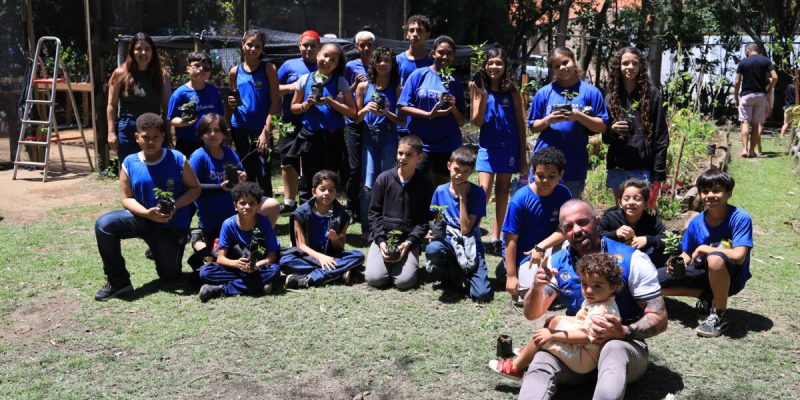 Viveiro de mudas (65)