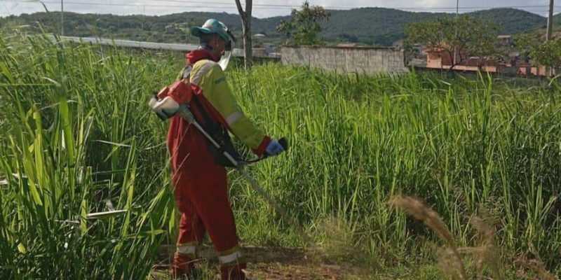 WhatsApp Image 2025-01-17 at 17.57.03 (1)