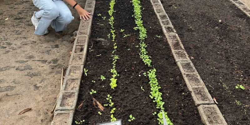 WhatsApp Image 2025-05-15 at 10.10.31 (1)