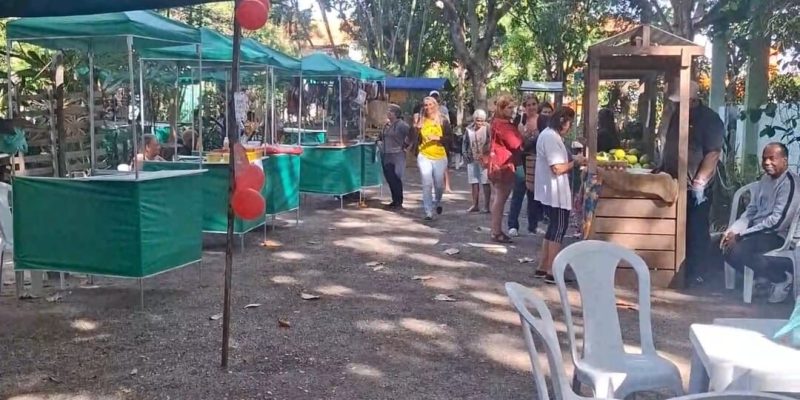 WhatsApp Image 2025-08-05 at 12.21.50