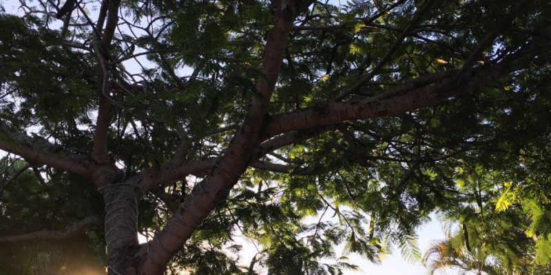 WhatsApp Image 2025-09-19 at 12.29.51