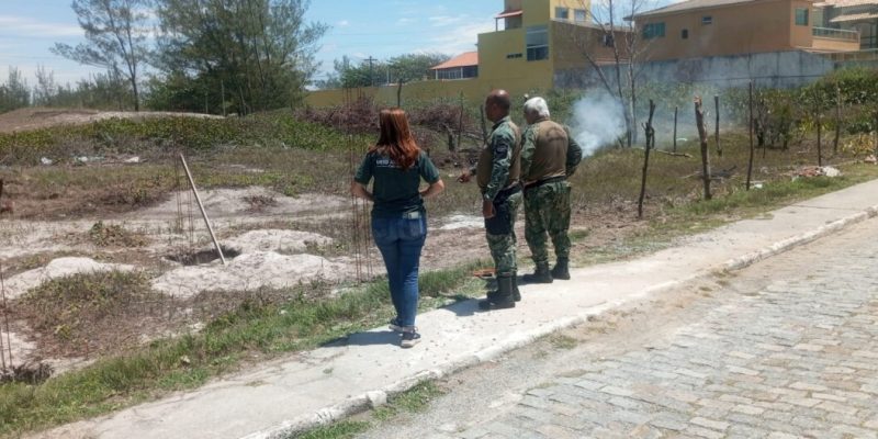 WhatsApp Image 2025-11-03 at 11.33.10