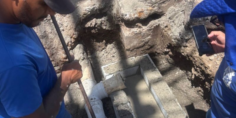 WhatsApp Image 2026-01-28 at 14.01.32 (1)