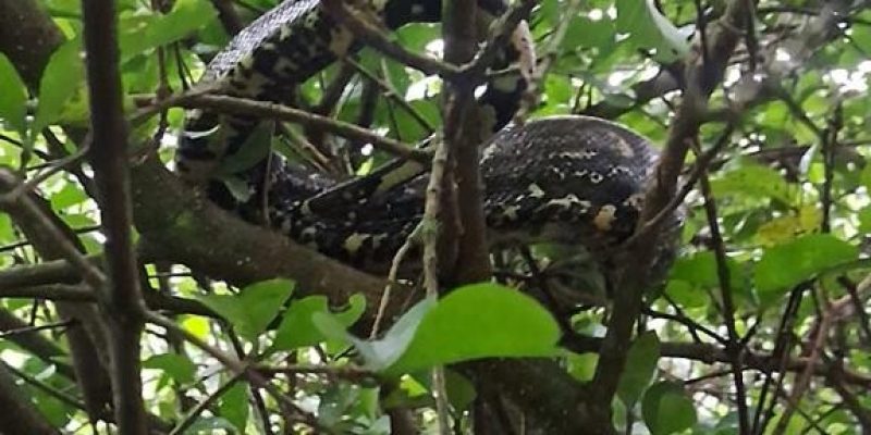 WhatsApp Image 2026-02-05 at 08.59.22 (1)