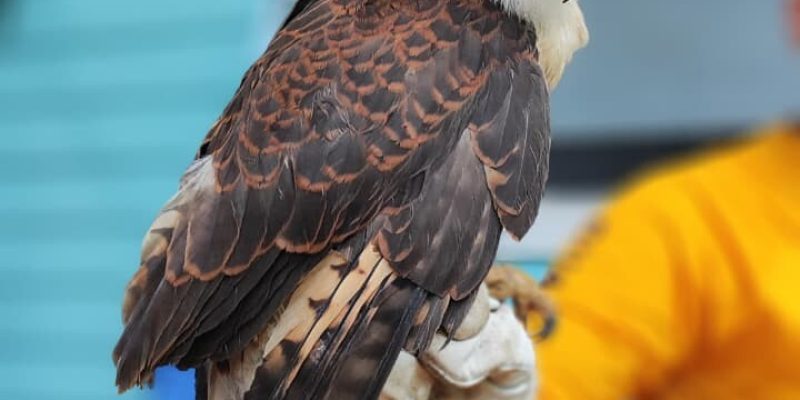 WhatsApp Image 2026-03-03 at 18.25.25