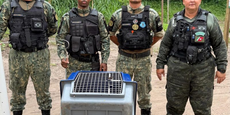 WhatsApp Image 2026-03-10 at 17.19.34 (1)