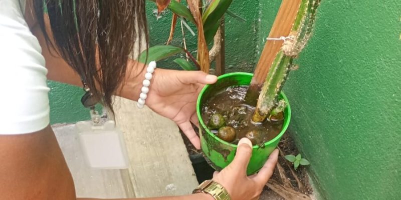 WhatsApp Image 2026-03-12 at 12.14.49