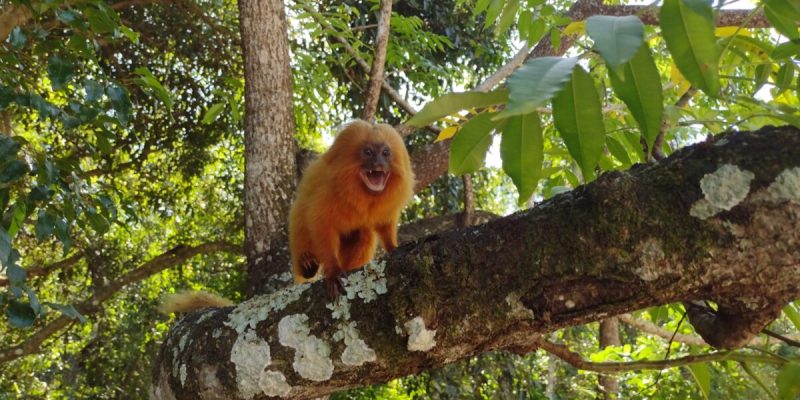 WhatsApp_Image_2024-02-19_at_17.43.56